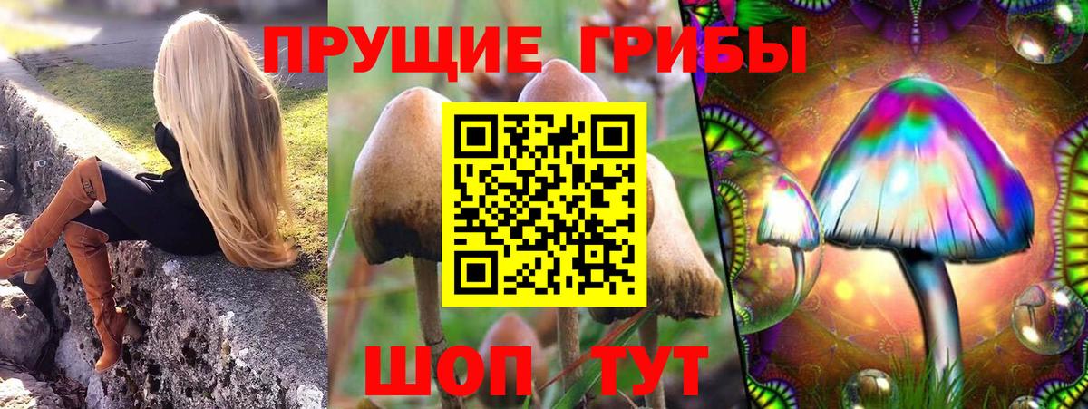 Галлюциногенные грибы мухоморы  Вход с VPN  Галлюциногенные грибы Psilocybe  Ступино 